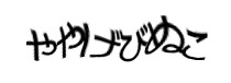 認証画像