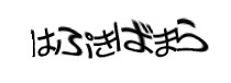 認証画像