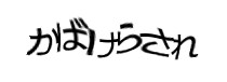 認証画像