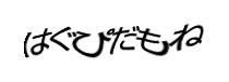 認証画像