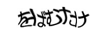 認証画像
