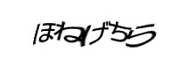 認証画像