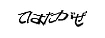 認証画像