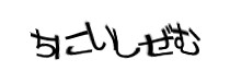 認証画像