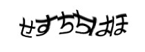 認証画像